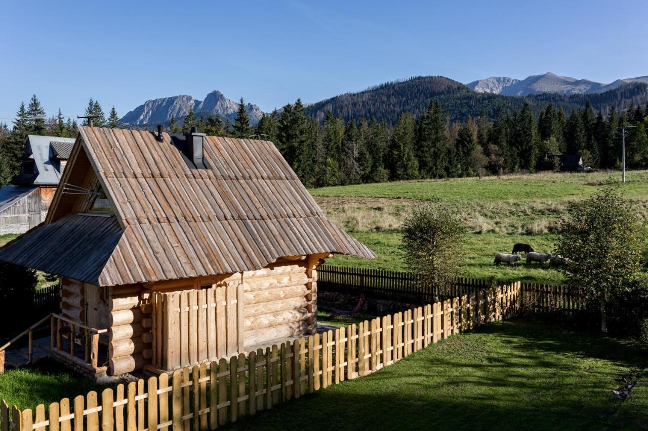 Chata Przy Dolinie Z Sauna Kościelisko Buitenkant foto